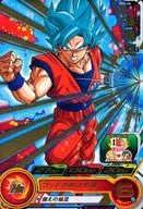 PBS-05 [P] : Sun Wukong (hot stamping)