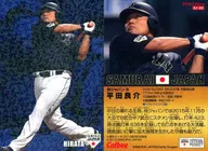 SJ-33[-]：平田良介