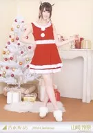 Reina Yamazaki / Whole-body Santa Claus costume / Nogizaka46 2016. Christmas random Official photo