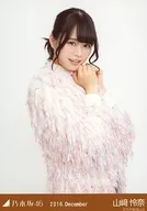 Reina Yamazaki / Upper Body Shaggy Knit / Nogizaka46 2016. December Random Official photo