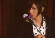 Toshiyuki Someya / Horizontal ・ Bust up ・ Jacket black ・ Shirt black and white polka-dot pattern ・ Right hand Hanaguchi Gen ・ Carnation Purple ・ Face left / Toshiyuki Someya 2016 Spring Accommodation Tour Participant Limited Photo