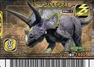 013 : Triceratops