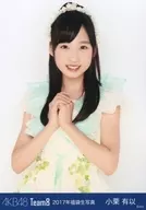 小栗有以/上半身/2017年AKB48Team8福袋随机生写真
