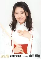 Juna Yamada / upper body / 2017 SKE48 Fukubukuro Random Official photo