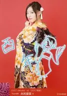 B : Ijiri 晏菜 / 2017 January-rd [2017 Grab bag]