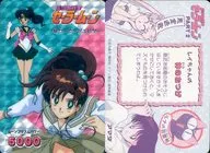 53 Prism : Sailor Jupiter (Sealed Plate)