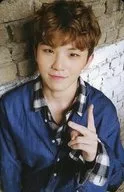 Seventeen / WOOZI / 3 nd mini album "Going Seventeen" (Make It HappenVer.) Special Treka