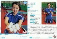 十[常规卡]:山本怜