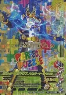 G3-023[LR]：仮面ライダーパラドクス パズルゲーマー レベル50