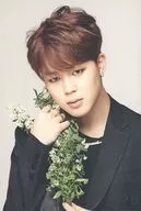 2OF7:防弹少年团/JIMIN/2016 BTS LIVE原创迷你照片卡
