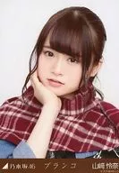 山崎憐奈/豐胸/秋千>會場限定生寫真