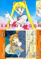 No. 19 [Normal] : Sailor Moon