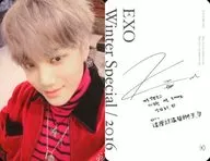 EXO/KAI/服装红/Winter Special Album2016「For Life」封入特典TORAYCA