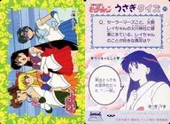 29[ノーマル]：セーラー戦士