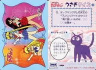 33[ノーマル]：セーラー戦士