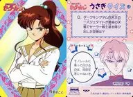 38[ノーマル]：木野まこと