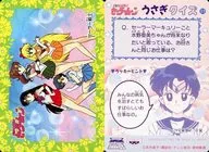 39[ノーマル]：セーラー戦士