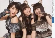 Morning Musume' 17 / Gathering (3 persons) / Horizontal, Upper Body, Sexy Cat's Address, Costume, Center Score, Kumura, Head Tilted Right / Mizuki Fukumura / Haruka Kudo / Sakura Oda Official photo 『 "Sexy Cat's Address", Mizuki Fukumura / Haruka Kudo / Sakura Oda Version Part 1 』