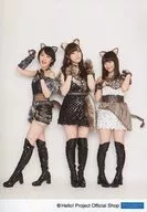 Morning Musume' 17 / Gather (3 persons) / Whole-body, Sexy Cat's Speech, Costume, Center Score, Kumura, Both Hands Pose / Mizuki Fukumura / Haruka Kudo / Sakura Oda Official photo 『 "Sexy Cat's Speech" Mizuki Fukumura / Haruka Kudo / Sakura Oda Version Part 1 』