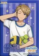 No. 210 [normal card] : NARUKAMI ARASHI