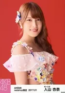 Anna Iriyama / Bust Up / AKB48 January 2017 net shop only individual Official photo "2017.01" "2016 Yokohama Stadium Ai no Existance" costume