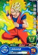 PBS-19 [P] : Son Gohan : Adolescence