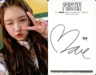 Pristin/ソンヨン(Sungyeon)/裏面白・裏面印刷サイン入り/CD「1st Mini Album： HI! PRISTIN [Prismatic Version A]」封入特典トレカ