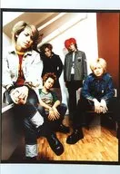 Wyse/集合(5人)/全身·坐姿·服装白.黑.蓝.灰色·脚套/3个月连续单曲发售纪念Lucky Mouse Presents生写真D