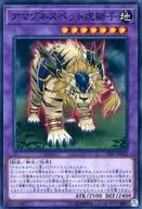 CP17-JP022 [N] : Amazons Pet Tiger Lion