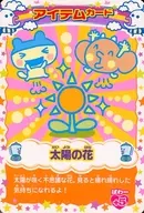 O-066 : Flowers of the Sun