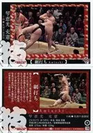 79 [Regular Card] : Mitsunori Kotoeko [Netuchi]