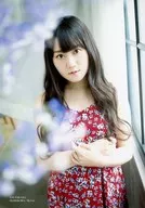 小仓唯/上半身・衣服红色・花朵图案・臂带/「杂志附册CD&DL-My Girl vol.18"VOICE ACTRESS EDITION"」Animate特典生写真
