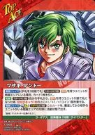T-005 [T] : evergreen euonymus Andor / Cy Buster