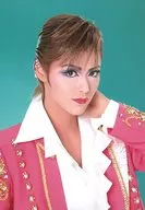 寶冢歌劇團(雪組)/彩凪翔/豐胸·背景綠/雪組公演