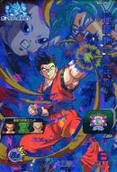 SH5-CP2[CP]：孫悟飯：青年期