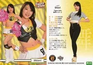 Mai 69 [Regular Card] : Shiori