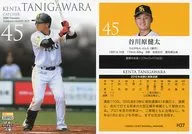 H37 [Regular Card] : kenta 谷川原
