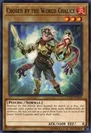 COTD-EN019 [N] : Chosen by the World Cup