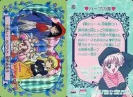 48 [Prism] : Rei Hino, Chibiusa, Minako Aino