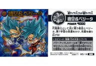 W5-14 [GR] : Goku & Vegeta