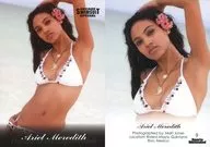 9 : Ariel Meredith / Regular Card/SPORTS ILLUSTRATED SWIMSUIT DECADE OF SUPERMODELS