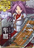 隼鷹(ホロ)(火力↑)