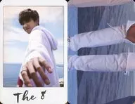 Seventeen/THE 8 (Hate) / Above the Knee / White Costume / Left Hand / 4 th Mini Album 「 Al1 ver3. All [13] 」 Special Photo Card