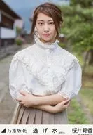 Reika Sakurai / Parte superior do corpo, parte frontal do corpo e braço / "Ryusui MV Selection ver." WebShop Limited Live Photo