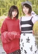 Yuki Kashiwagi / Mayu Watanabe / CDs "Anklet in November" Shinseido special Official photo