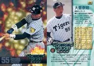 234[常规卡]:大丰泰昭