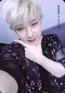 Monsta X/ウォノ(Wonho)/隐藏趣味/CD「The Clan2.5The Final Chapter Beautiful」(Brilliant Ver.)封入特典TORAYCA