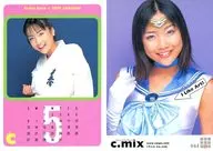 044 : Eriko Sato / Regular Card / IDOL TRADING CARD SPECIAL BOX c. mix