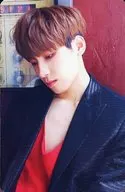SEVENTEEN/WONWOO(ウォヌ)/2ND ALBUM『TEEN，AGE』(RS Ver.)特典托萊卡