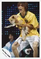 Hey! Say! JUMP / Hirota Yabu / Live Photo / Knee-High / Costume / Yellow-White / Both Hands Holding Dog / Eyes Left / Mouth Open / Official Official photo